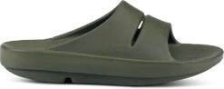 OOFOS OOahh Slide Sandal -Vasque Store 1000 160