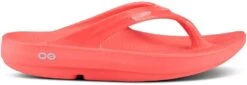 OOFOS OOlala Sandal -Vasque Store 1000 169