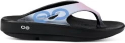 OOFOS OOriginal Sport Sandal