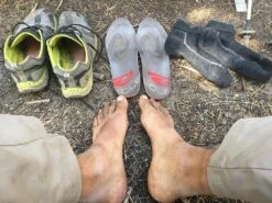 Sole Thin Sport Moldable Footbed -Vasque Store 14570704 1116957598400529 6434230474176728811 o