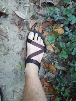 Xero Shoes Z-Trail -Vasque Store 20170930 082506