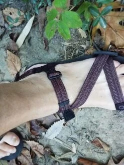 Xero Shoes Z-Trail -Vasque Store 20170930 082510