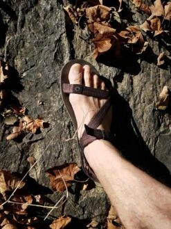 Xero Shoes Z-Trail -Vasque Store 20170930 084600