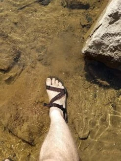 Xero Shoes Z-Trail -Vasque Store 20171021 114017