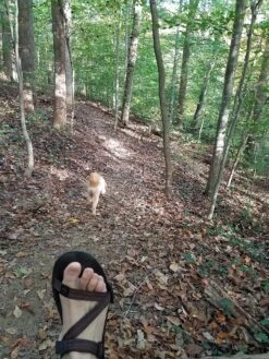 Xero Shoes Z-Trail -Vasque Store 20171028 091859