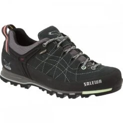Salewa Mountain Trainer GTX -Vasque Store CAR 1