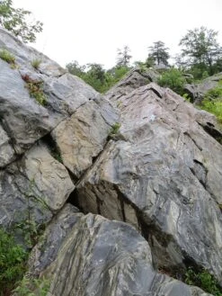 Sazzi Digit -Vasque Store IMG 0089