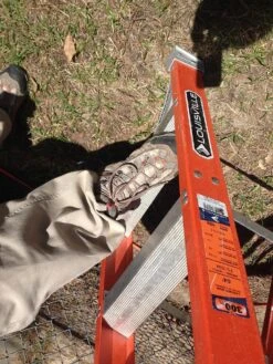 Oboz Wind River -Vasque Store IMG 0232