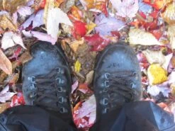 L.L.Bean Gore-Tex Cresta Hikers, Leather -Vasque Store IMG 0429