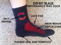 DeFeet Blaze -Vasque Store IMG 1251