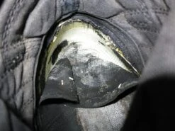 Belleville Mini-Mil TR102 -Vasque Store IMG 2465