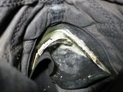 Belleville Mini-Mil TR102 -Vasque Store IMG 2466