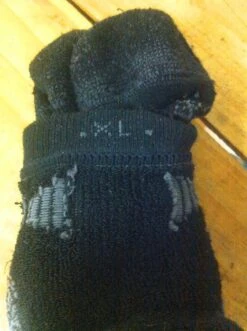 Point6 Hiking Tech Medium Mini Crew -Vasque Store IMG 2794