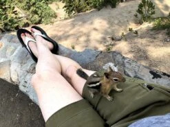 OOFOS OOlala Sandal -Vasque Store IMG 8110