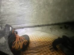 Crispi Thor II GTX -Vasque Store thor1